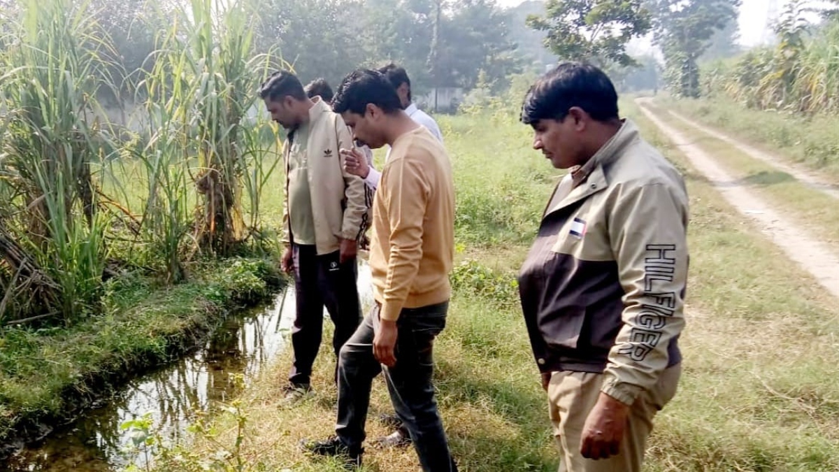 leopard sighted near kd college in simbhaoli panic grips residents