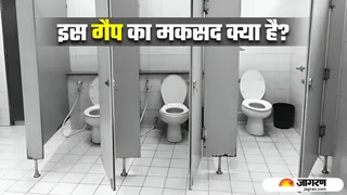 पब्लिक टॉयलेट के दरवाजों के नीचे क्यों छोड़ी जाती है खाली जगह? (Image Source: Freepik)