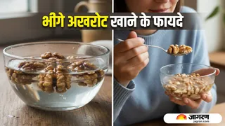 अखरोट को भिगोकर खाने के 7 जबरदस्त फायदे (Image Source: AI-Generated)