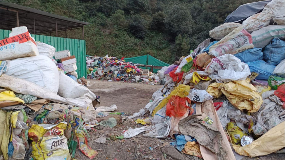 thieves stealing garbage