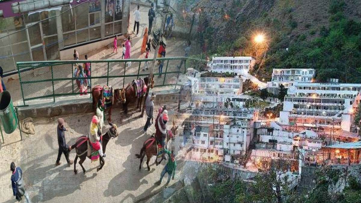despite the cold winds devotees are in high spirits and are enthusiastically visiting maa vaishno devi