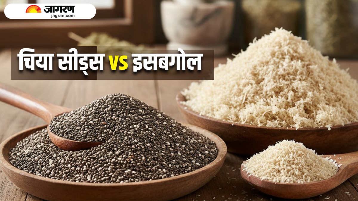 chia seeds vs psyllium husk which superfood has more fiber and better digestion benefits