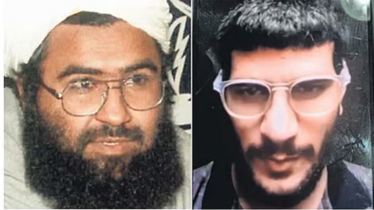 whitecollar terror module suicide bomber search exposed