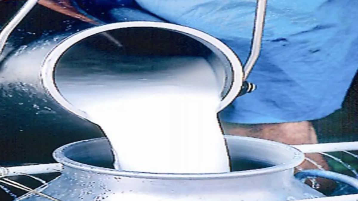 ice cream milk safety over 50 samples fail quality test