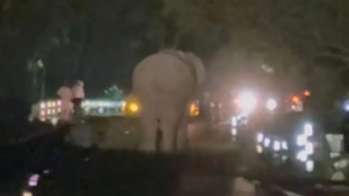 चारा पत्ती लेने गई महिला पर हाथी का हमला, साथी महिलाओं के शोरगुल के बाद भागा; बाल-बाल बची
