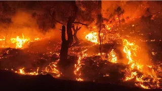 आग लगने से आसपास मची अफरा तफरी. File