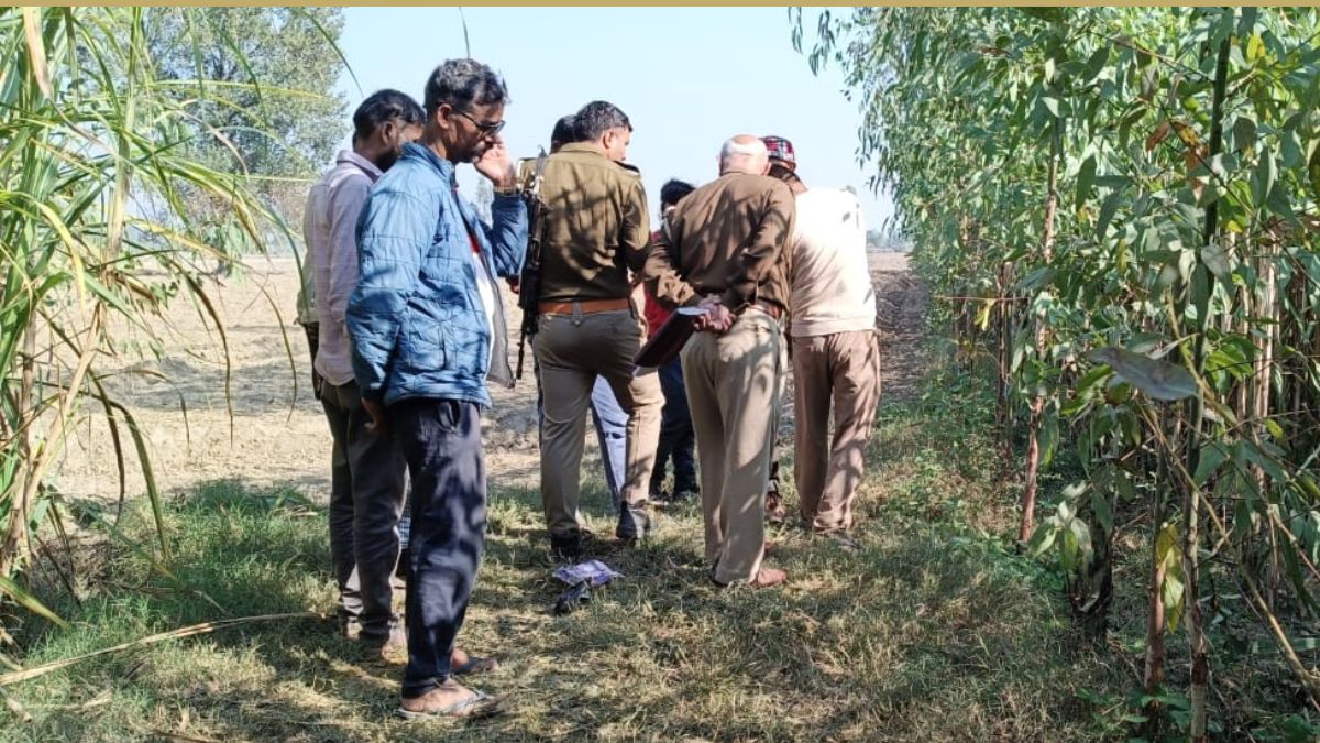 the tiger kept roaming near the population at night pilibhit district