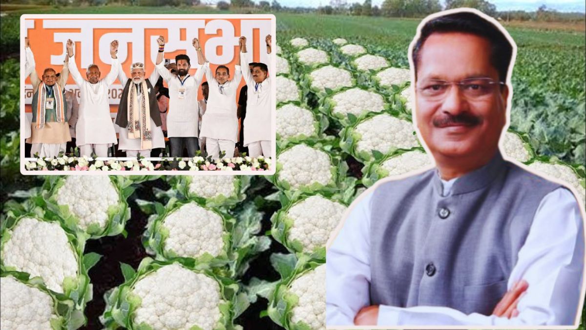 bihar nda win ministers cauliflower farming post sparks row
