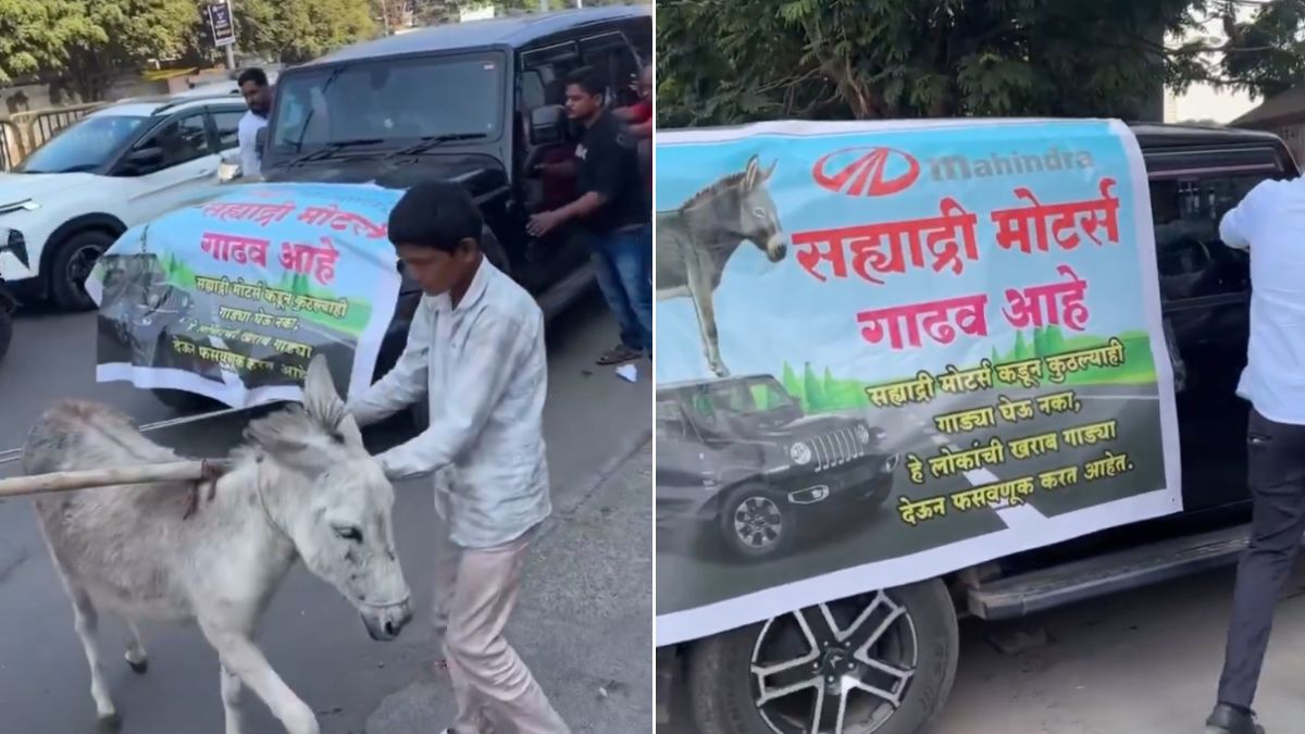 fed up with thar breaking down pune man gets donkeys to pull it to showroom