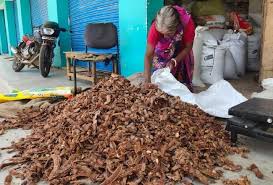 jharkhand tribal products new platforms for international market