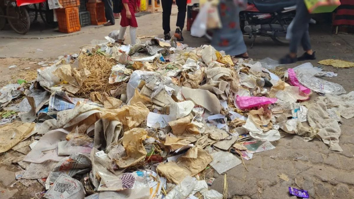 palwals crumbling sanitation garbage piles plague city despite funds