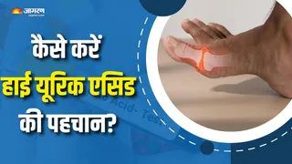 प्रोटीन की ज्यादा मात्रा बढ़ा सकती है यूरिक एसिड? (Picture Courtesy: Freepik)