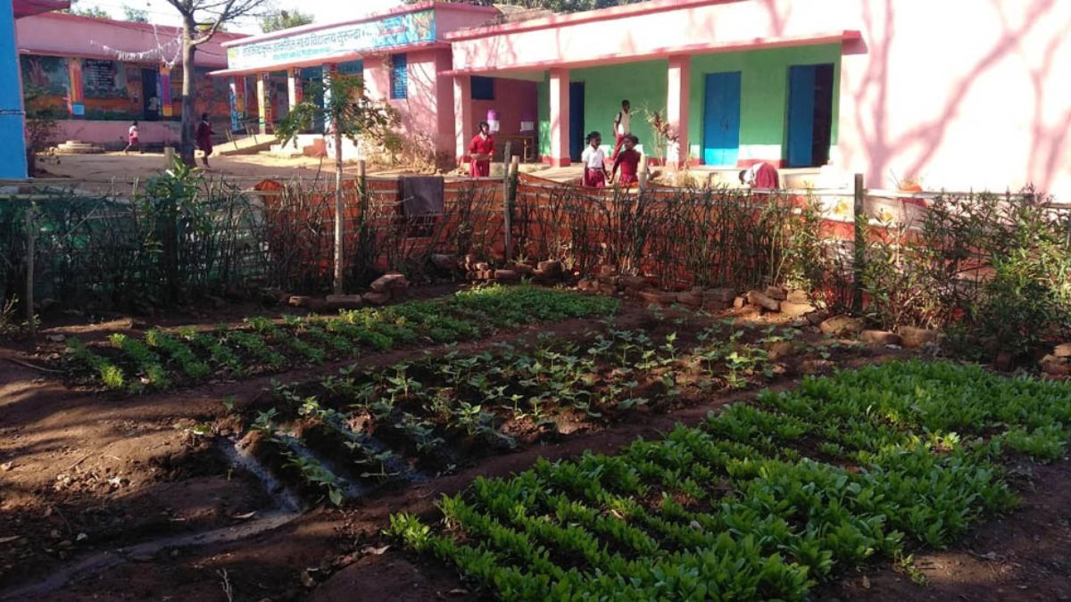 up basic school news ten district got target of establishing nutrition garden in all schools