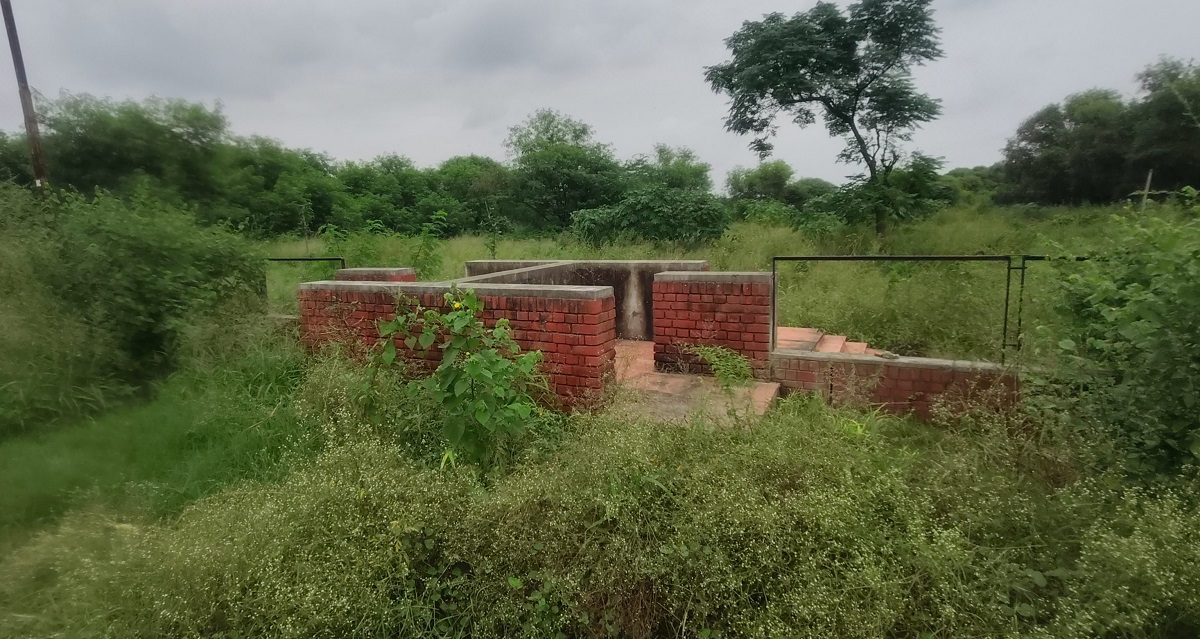 chandigarh green belt neglect city of gardens losing its lungs
