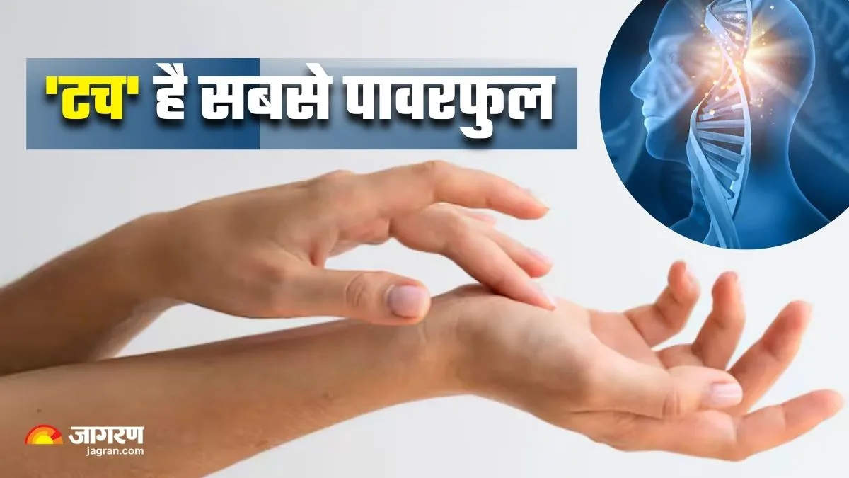 देखने-सुनने से नहीं, 'छूने' से होती है शरीर में सबसे बड़ी हलचल; स्टडी में हुआ खुलासा