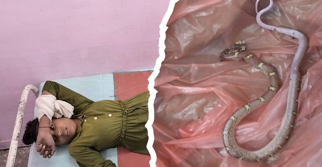 auriya female principal praised for bravery after saving student from snake bite at school