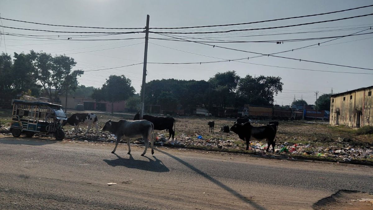 amisleadingpictureofmajholamandiproblemsrangingfromsecuritytowaterlackofcleanlinessandparking