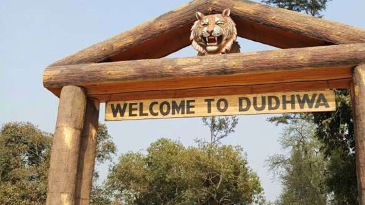 dudhwa national park air service to resume ecotourism boost