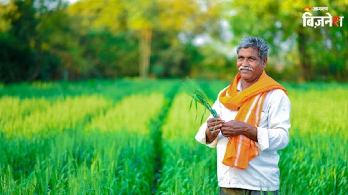 pm kisan yojana ensure you get your next installment key steps