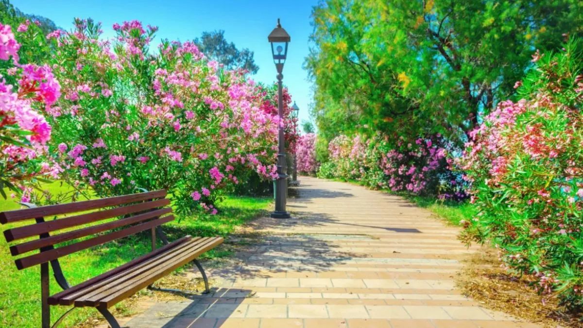 asita east park restoration reopening november 23 delhi tourism