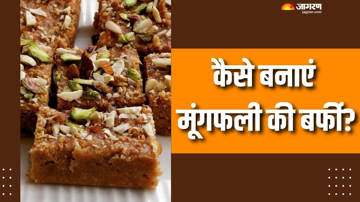 peanut barfi easy recipe to cook at home check details here