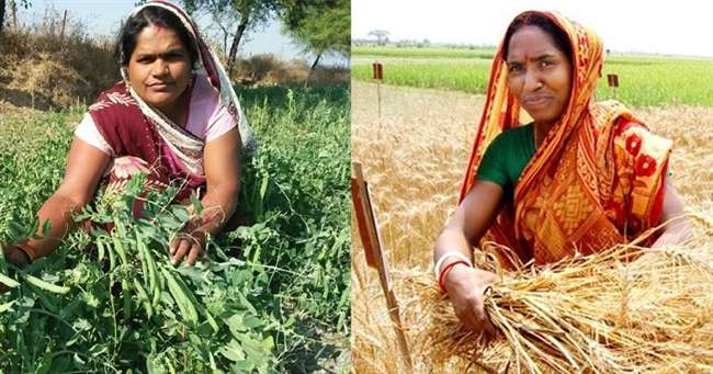 empowering women farmers eklavya fpo transforms lives in lakhimpur kheri