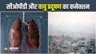 World COPD Day 2025: क्या सीओपीडी की तरफ धकेल सकता है शहर का बढ़ता वायु प्रदूषण? (Image Source: Freepik)