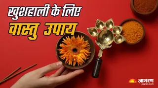 नेगेटिविटी दूर करने के वास्तु उपाय। (Picture Credit: Freepik)
