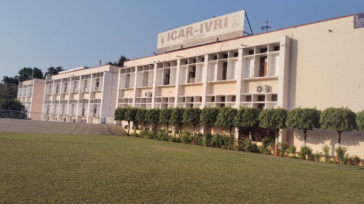 meat will stay fresh even in summer ivri scientists have discovered a new technology to address the growing protein shortage