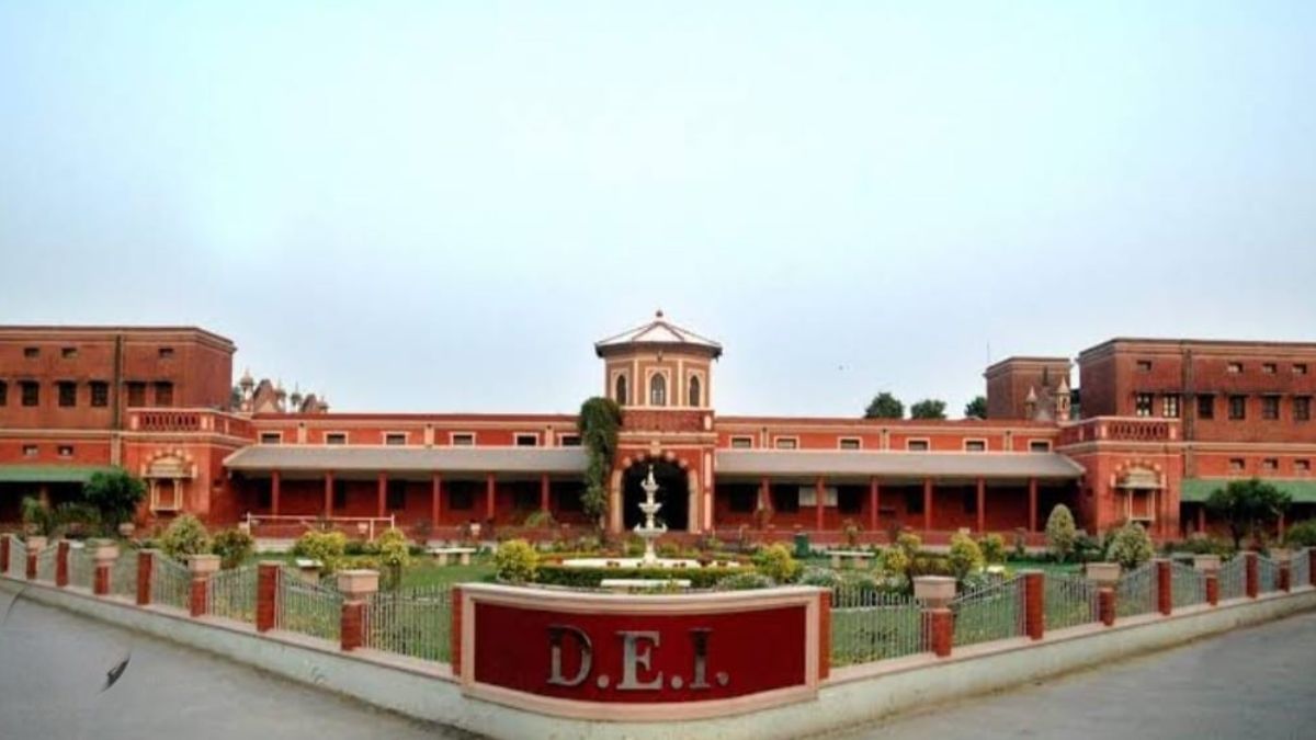 dei nursery can be built without soil stylish shoes can be made from mushrooms