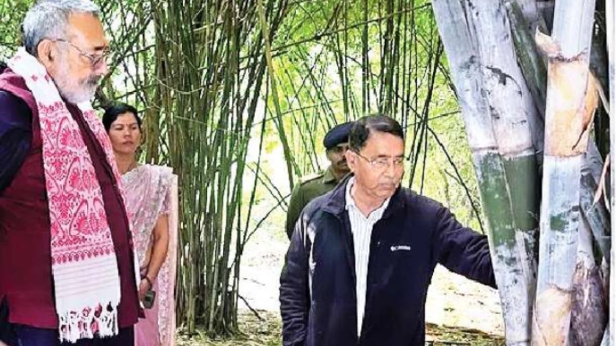 jabalpur bamboo india to produce soft fiber challenging china