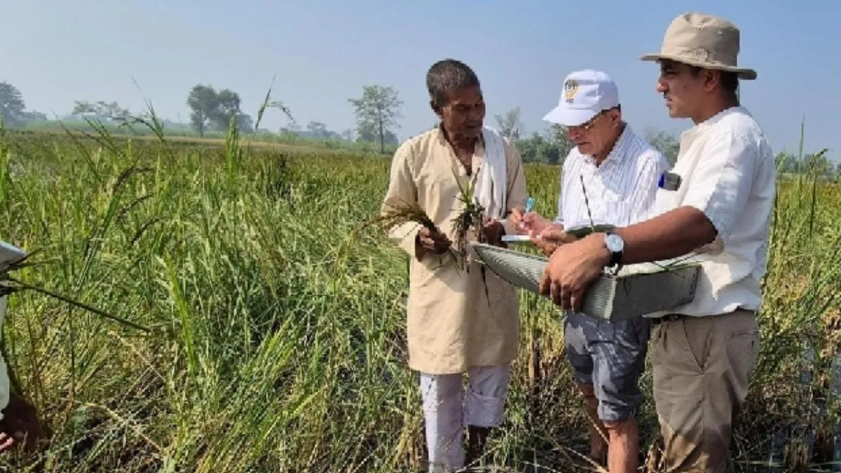 नारायणी तट पर मिली धान की धरोहर, उन्नत किस्में विकसित करने में समर्थ और कम लागत में होगा ज्यादा उत्पादन