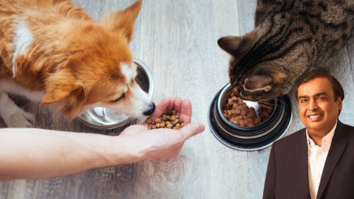 mukesh ambani reliance consumer to enter pet food market may start price war with nestle emami