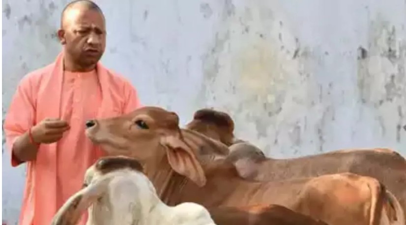 in a meeting with officials cm yogi issued instructions saying that nodal officers should be appointed for every project