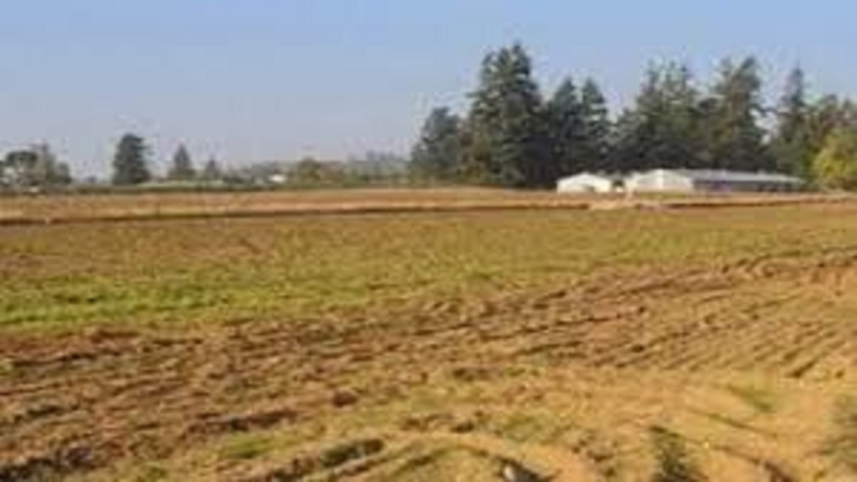 1500 hectares of land to be registered in prayagraj forest department records