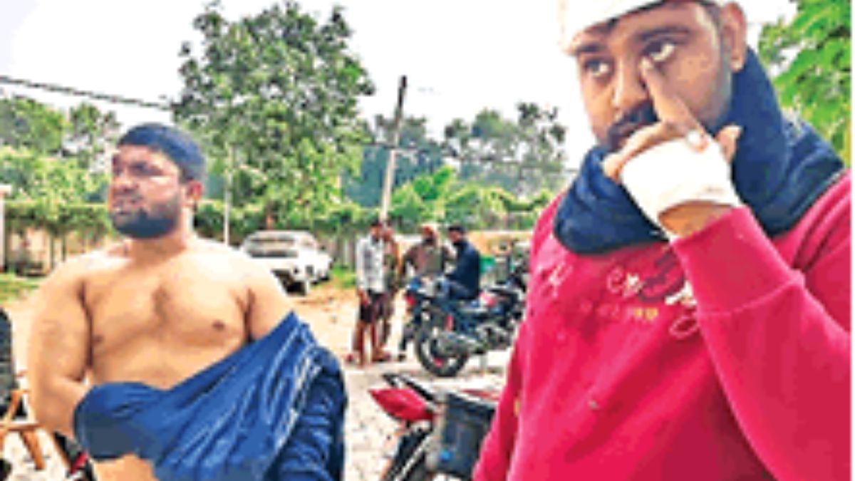 delhi cow protection team attacked smugglers beat volunteers 3 injured