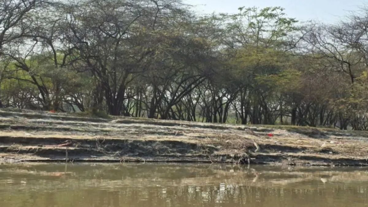 delhi government declares southern ridge reserved forest