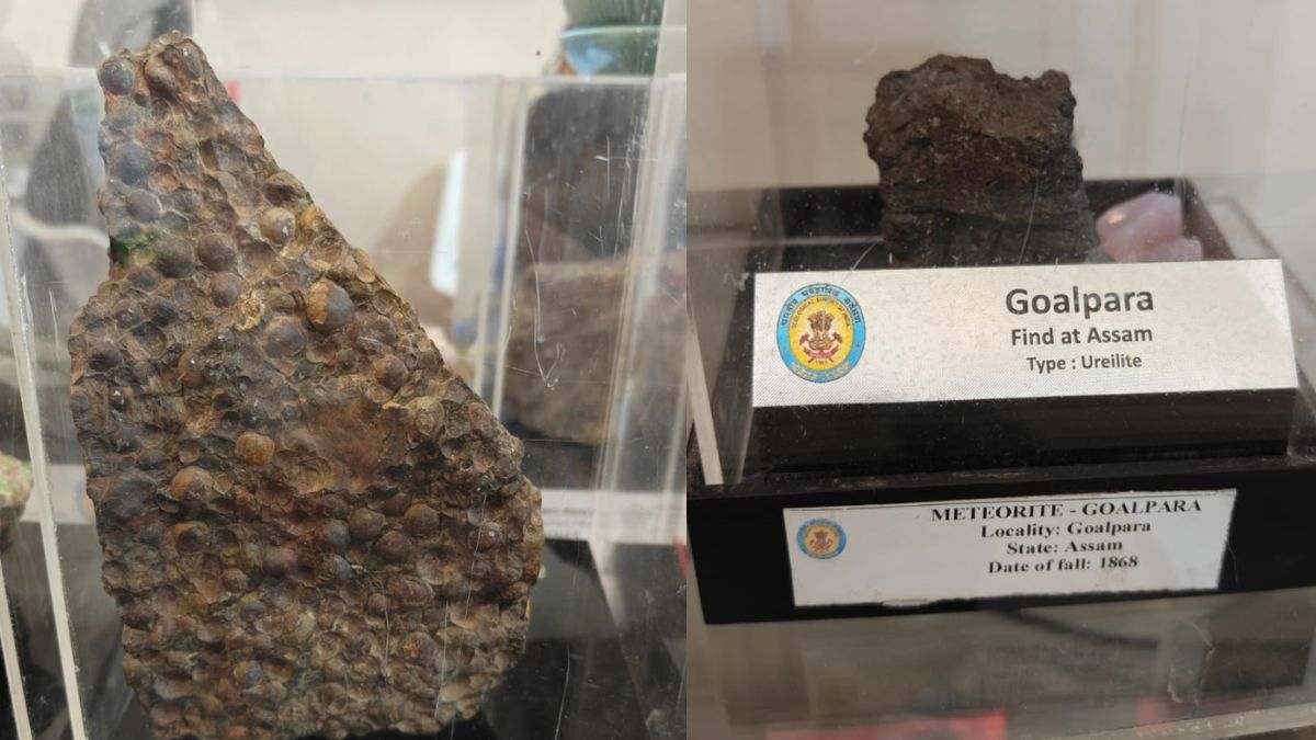 international trade fair geological survey of india showcases rare minerals