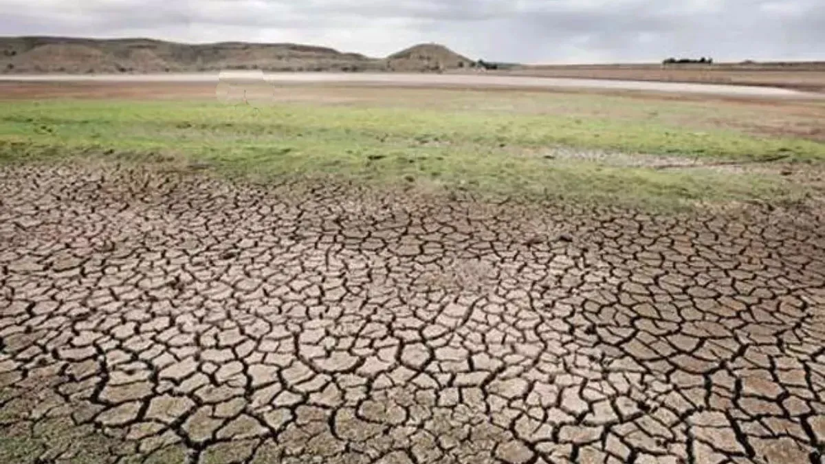 https://www.jagranimages.com/images/2025/11/19/article/image/drought-1763537824042.jpg