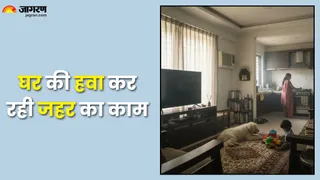 घर की हवा: फेफड़ों के लिए खतरा, सीओपीडी से बचाव (Picture Credit- AI Generated)
