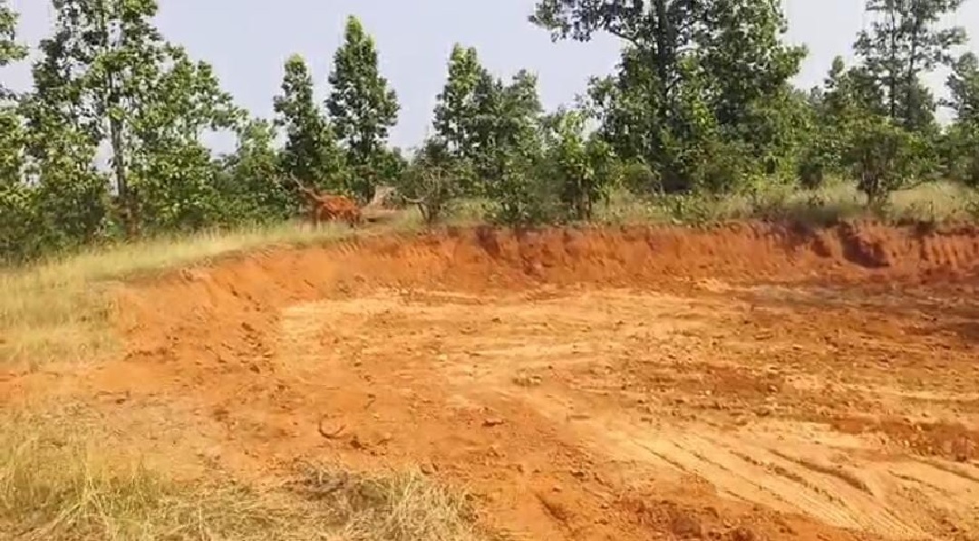 mafia building roads in forest areas for sand smuggling