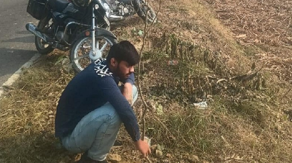 farmer plants 14 after loss a pledge to care