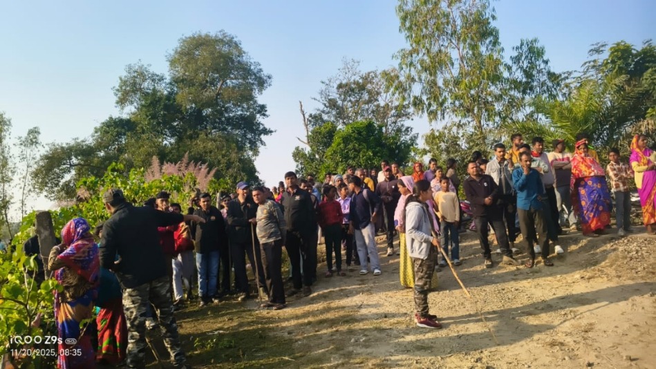 tiger spotted near pilibhit tiger reserve villagers in fear