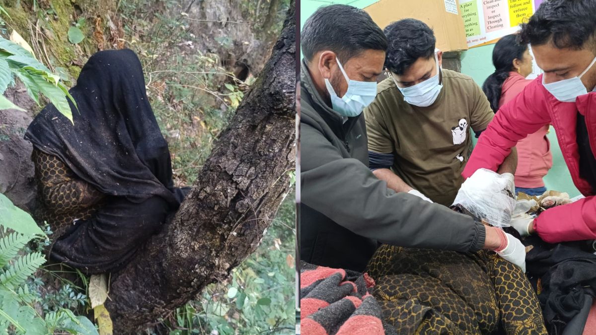 woman injured in bear attack spends winter night in forest