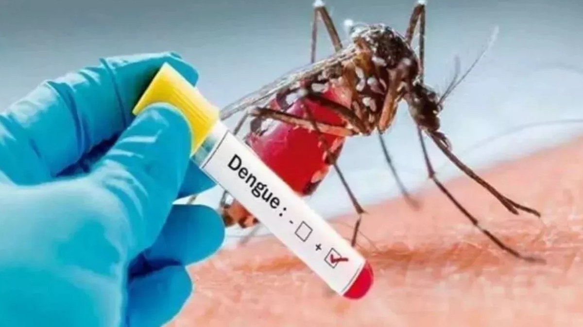 dengue update new case in gurugram total reaches 64