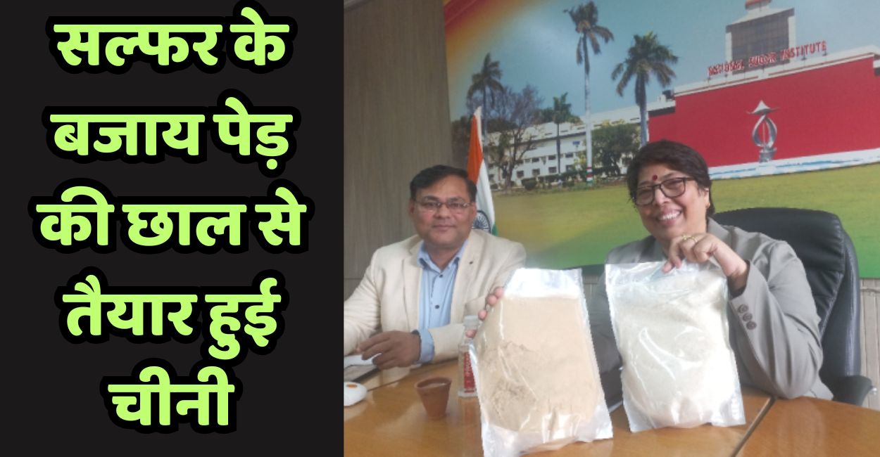 kanpur nsi purified sugar from tree bark instead of sulphur in ayodhya better quality less pollution