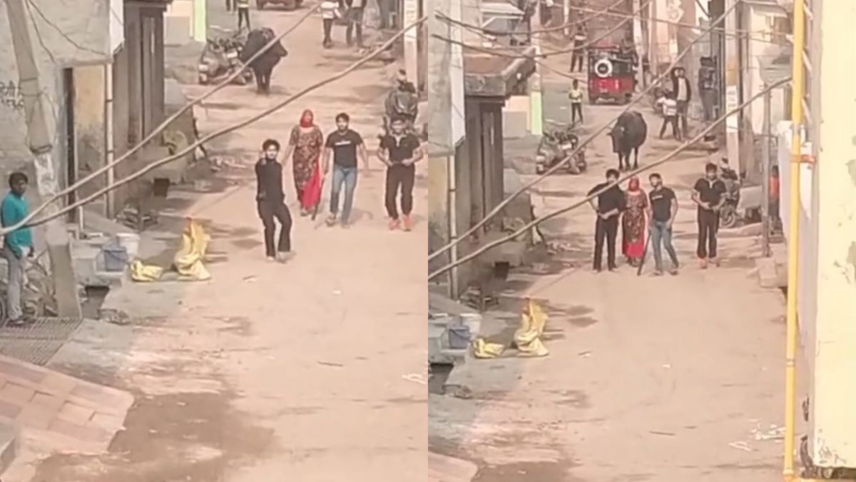 noida property dispute firing caught on camera in sarfabad village