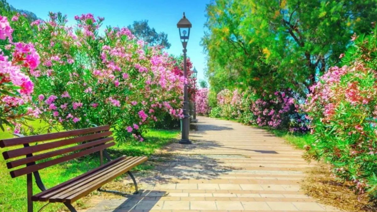 ghaziabad bhimabai ambedkar park rfp released new look for samvidhan smriti park