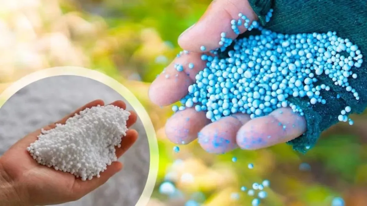 शाहजहांपुर: मृतक किसान को 1 लाख की खाद! फर्जीवाड़ा उजागर होने पर जिस सचिव ने लोन दिया, उसी को जांच
