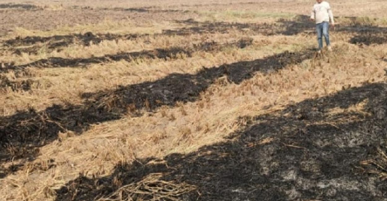 parali burning cases in up action on 11 farmers in hamirpur